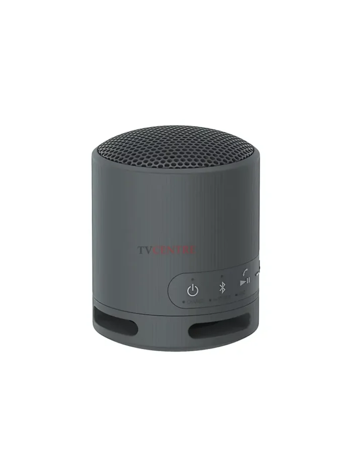 Sony SRS-XB100 Portable Bluetooth Speaker - Image 1